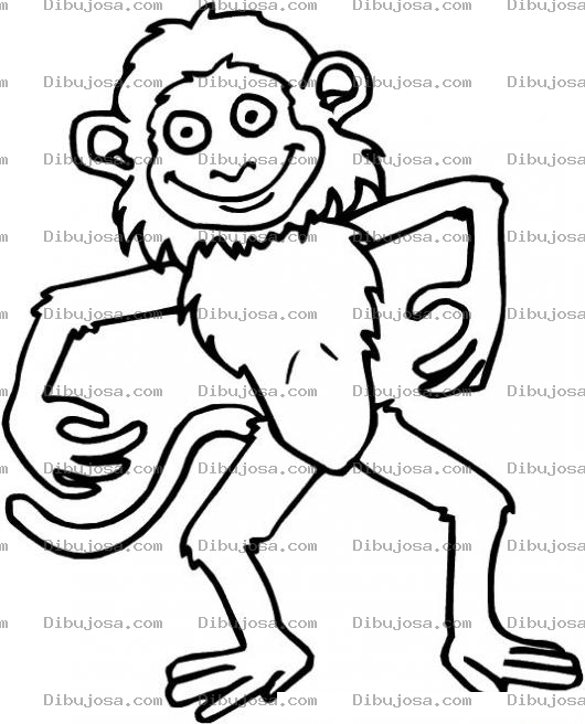 Dibujo para colorear Colorear Mono Chistoso