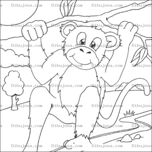 Dibujo para colorear Clorear Mono En Arbol