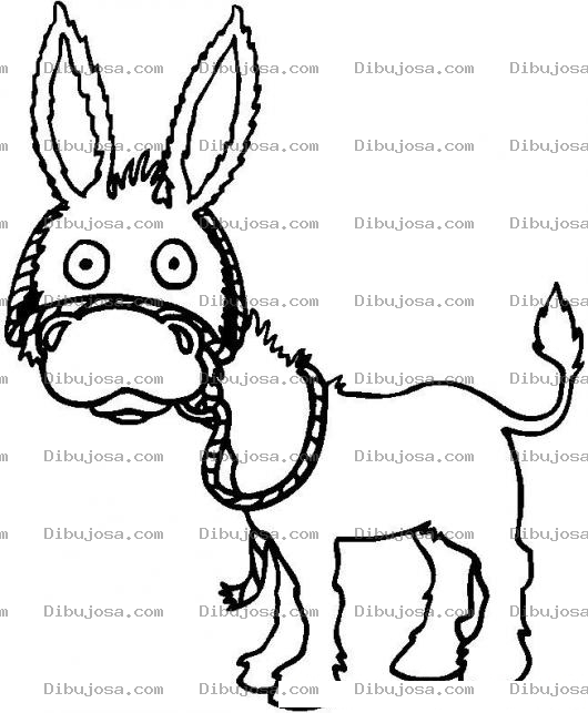 Dibujo para colorear Colorear Burrito Con Arnes