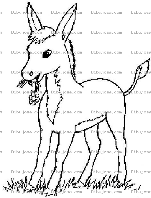 Dibujo para colorear Colorear Burro Con Una Flor En El Hocico