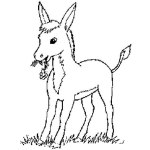 Dibujo para colorear Colorear Burro Con Una Flor En El Hocico