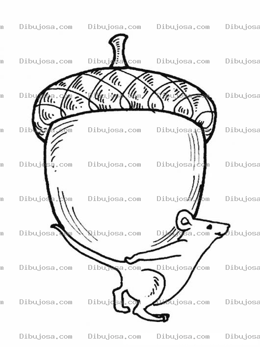Dibujo para colorear Raton Con Nuez Bellota