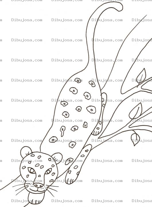 Dibujo para colorear Colorear Pantera En Arbol