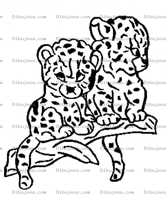 Dibujo para colorear Colorear Panteritas Bebes