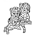Dibujo para colorear Colorear Panteritas Bebes