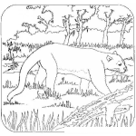 Dibujo para colorear Colorear Pantera En La Selva