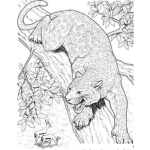 Dibujo para colorear Colorear Pantera Enojada