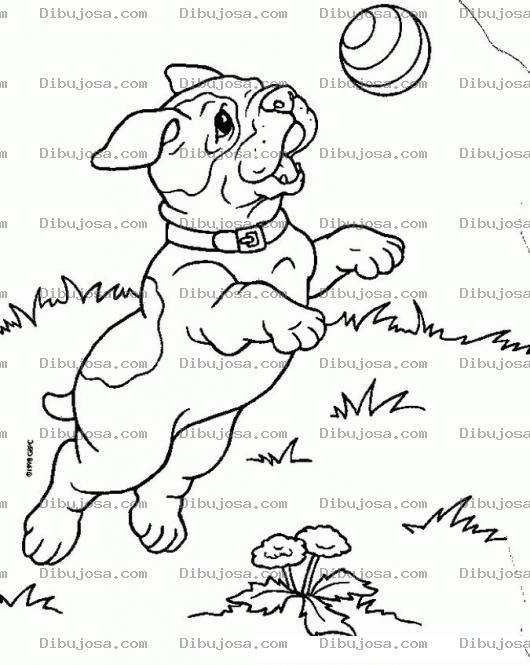 Dibujo para colorear Colorear Perrito Atrapando Una Pelota