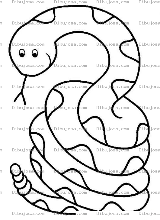 Dibujo para colorear Colorear Serpiente Enrsocada