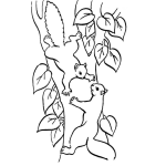 Dibujo para colorear Colorear Ardillas Peleando