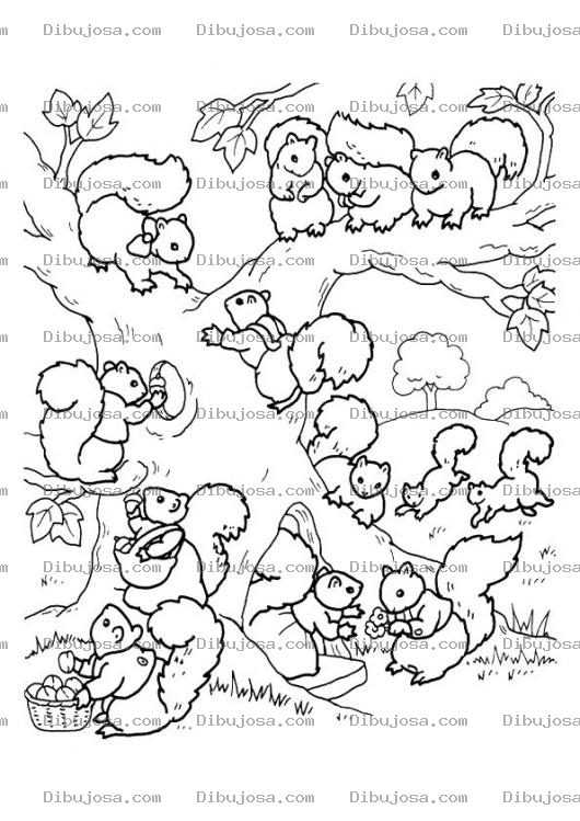 Dibujo para colorear Colorear Ardillas En Un Arbol