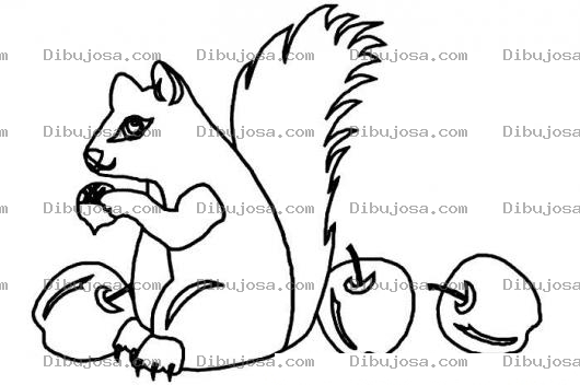 Dibujo para colorear Pintar Una Ardilla