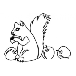 Dibujo para colorear Pintar Una Ardilla