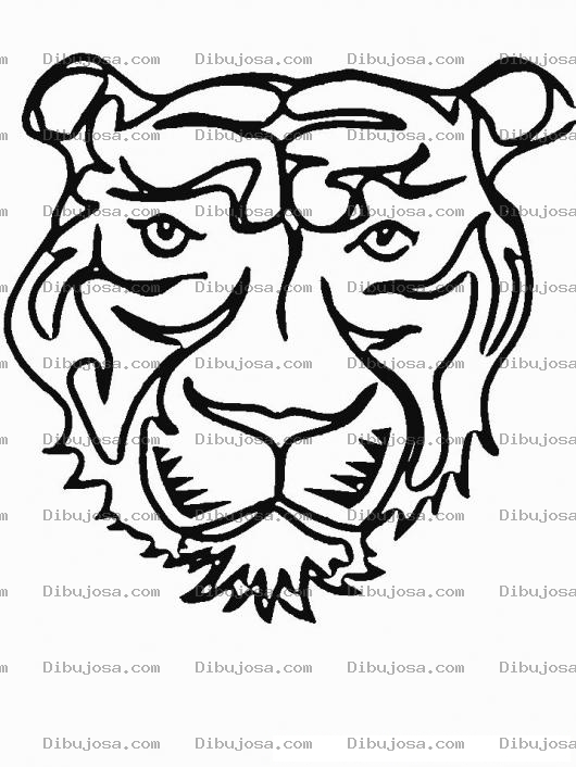 Dibujo para colorear Clorear Rostro De Tigre