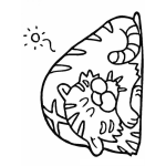 Dibujo para colorear Colorear Timbre Dormido