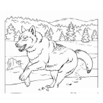 Dibujo para colorear Colorear Lobo En El Bosque