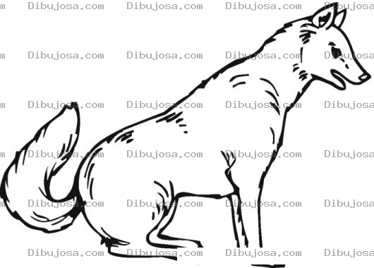 Dibujo para colorear Colorear Lobo Sentado