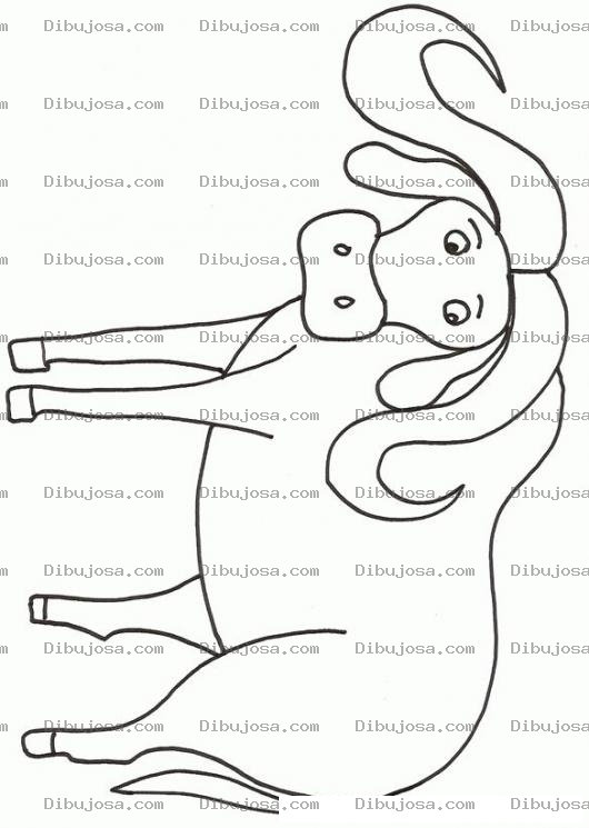 Dibujo para colorear Colorear Bufalo
