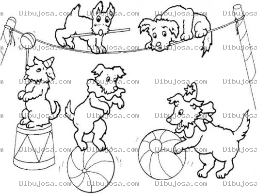 Dibujo para colorear Colorear Perritos De Circo