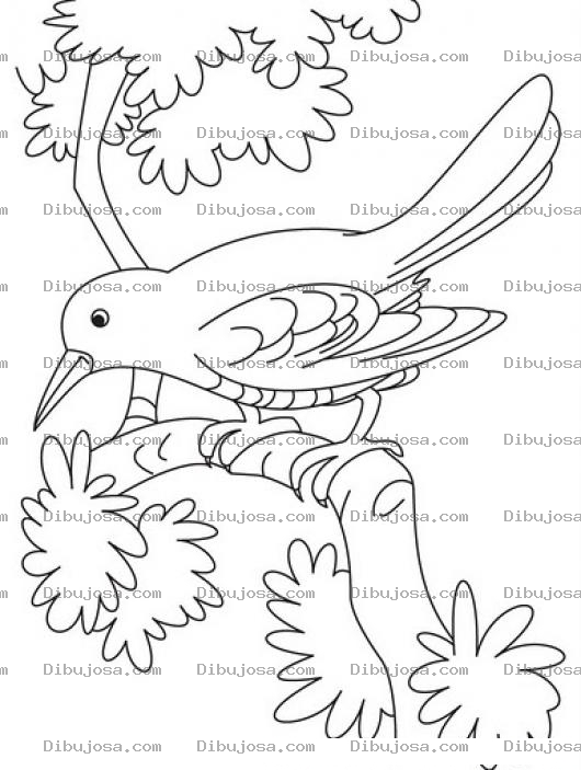 Dibujo para colorear Colorear Pajarito En Un Arbol