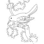 Dibujo para colorear Colorear Pajarito En Un Arbol