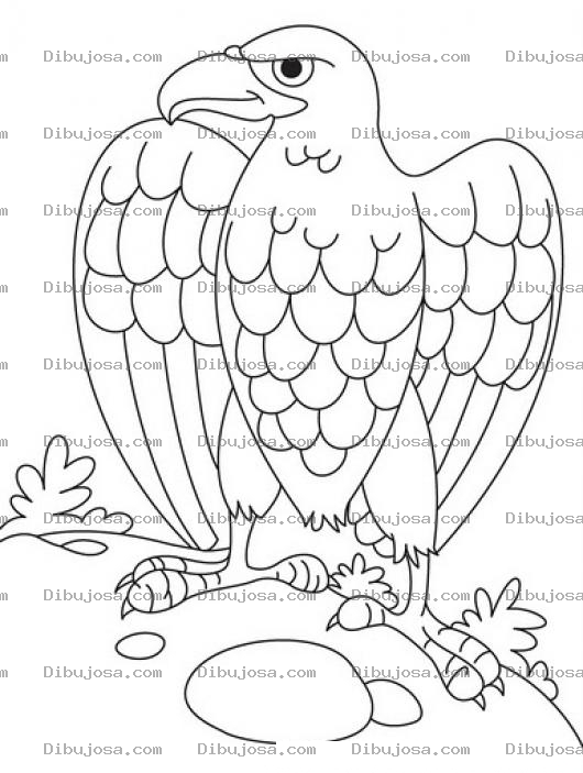 Dibujo para colorear Colorear Aguila Enojada