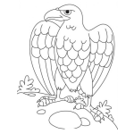 Dibujo para colorear Colorear Aguila Enojada