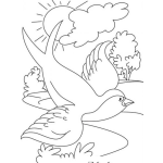 Dibujo para colorear Clorear Golondrinita