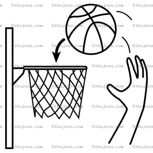 Dibujo para colorear Colorear Canasta De Basquetbol