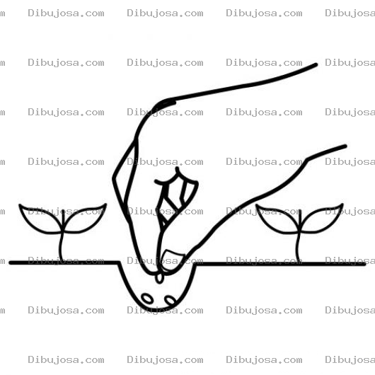 Dibujo para colorear Colorear Sembrando Semillas