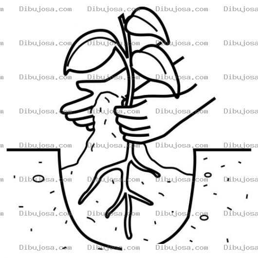 Dibujo para colorear Colorear Manos Plantando Un Arbol