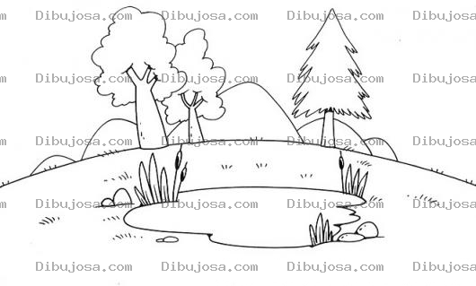 Dibujo para colorear Colorear Laguneta