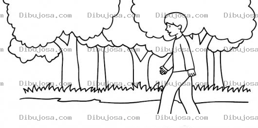 Dibujo para colorear Colorear Muchacho Caminando Por El Bosque