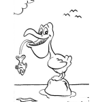 Dibujo para colorear Pelicano Para Colorear