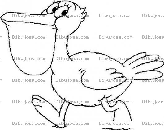 Dibujo para colorear Colorear Pelicano