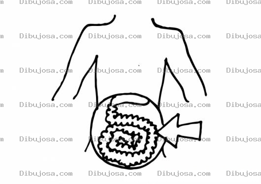 Dibujo para colorear Colorear Intestino Grueso