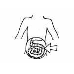 Dibujo para colorear Colorear Intestino Grueso