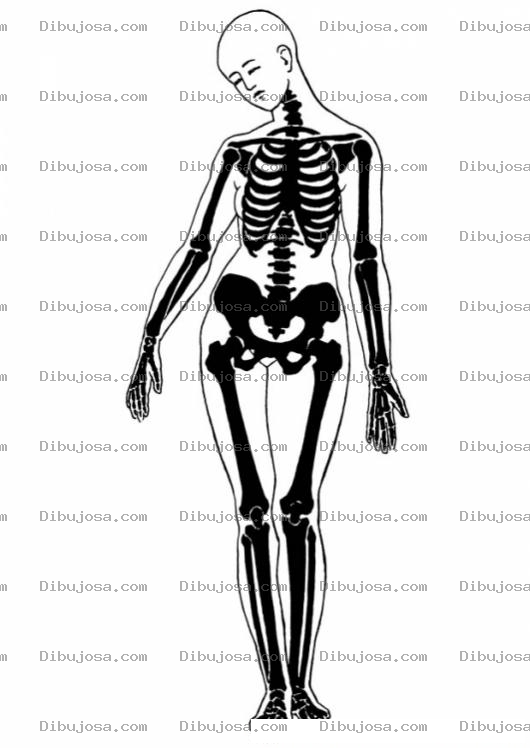 Dibujo para colorear Dibujo Del Cuerpo Humano De Una Mujer