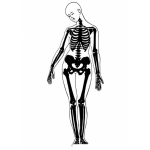 Dibujo para colorear Dibujo Del Cuerpo Humano De Una Mujer