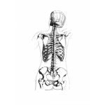 Dibujo para colorear Colorer Esqueleto Del Cuerpo Humano Visto De Espaldas