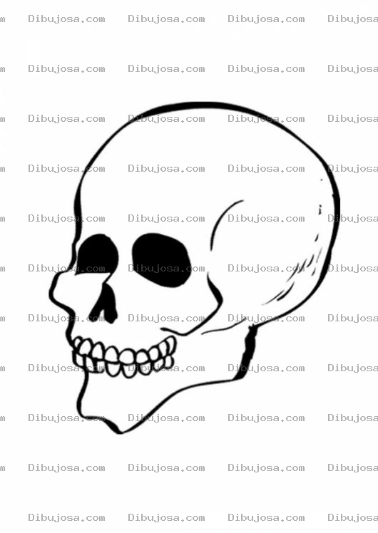 Dibujo para colorear Colorear Craneo