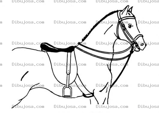 Dibujo para colorear Caballo Ensillado Para Colorear