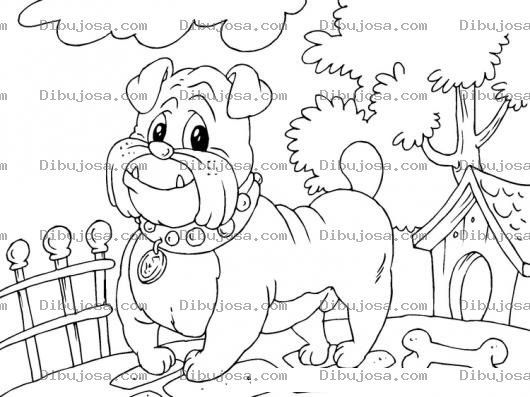 Dibujo para colorear Perrito Bull Dog Para Colorear