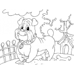Dibujo para colorear Perrito Bull Dog Para Colorear