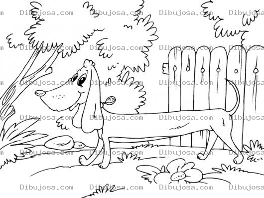 Dibujo para colorear Perro Salchicha Para Colorear