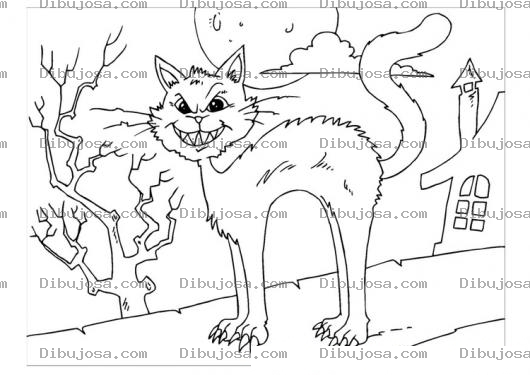 Dibujo para colorear Gato Erizado Para Colorear