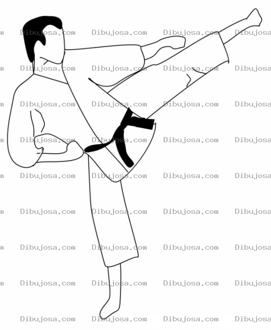 Dibujo para colorear Dibujo De Un Karateca Tirando Una Patada De Carate