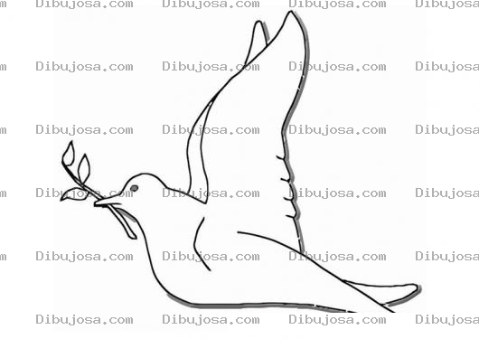 Dibujo para colorear Dibujo De La Paloma De La Paz Para Colorear