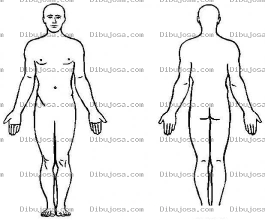 Dibujo para colorear Colorear El Cuerpo De Un Hombre Por El Frente Y Por Detras