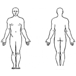 Dibujo para colorear Colorear El Cuerpo De Un Hombre Por El Frente Y Por Detras